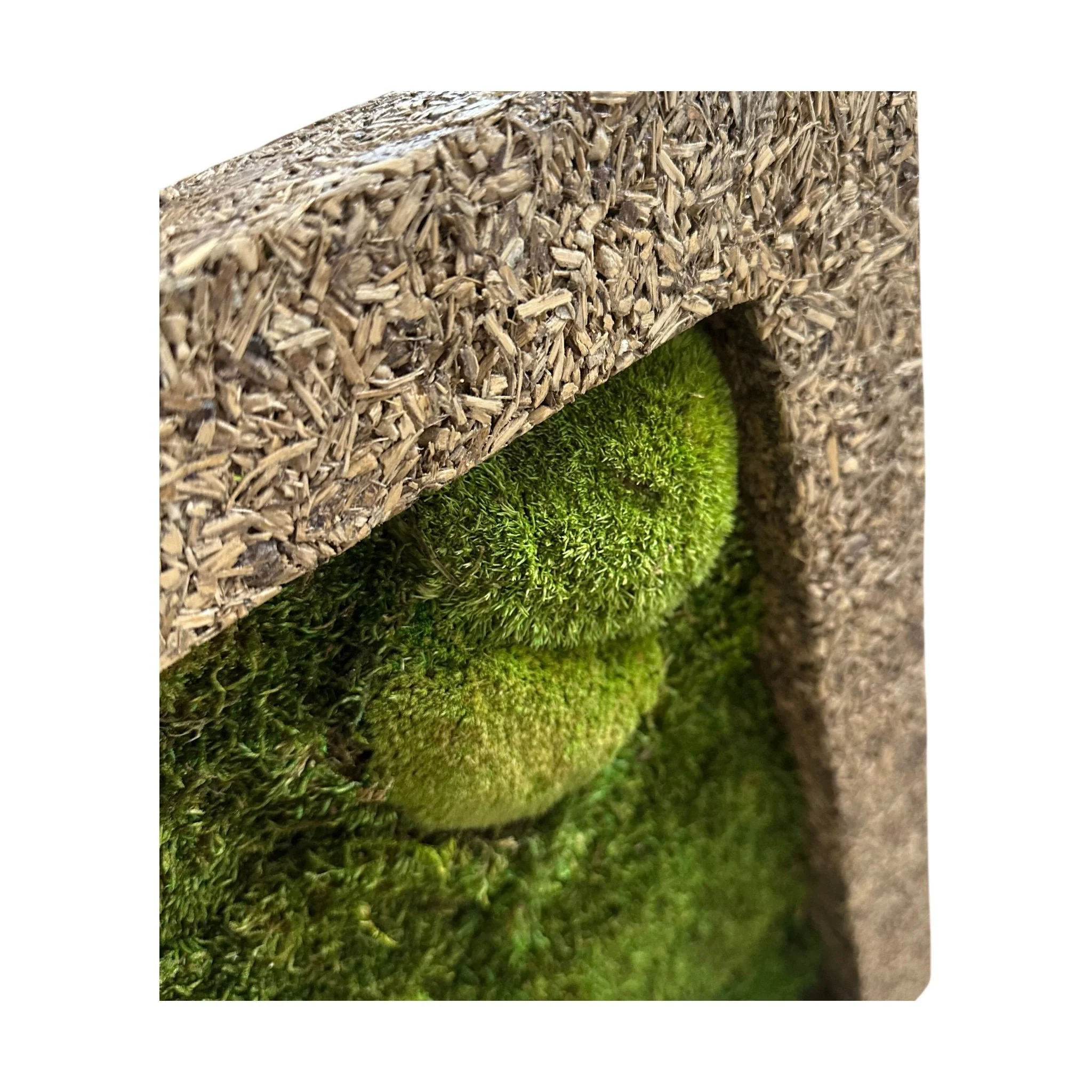 Mosbilder med finer ramme fra Naturescast - Image 2